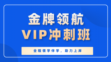 【金牌领航】VIP冲刺班（2507）